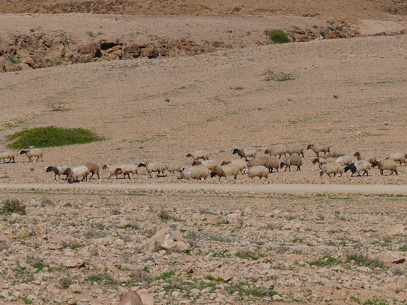 Mount Nebo (29).jpg